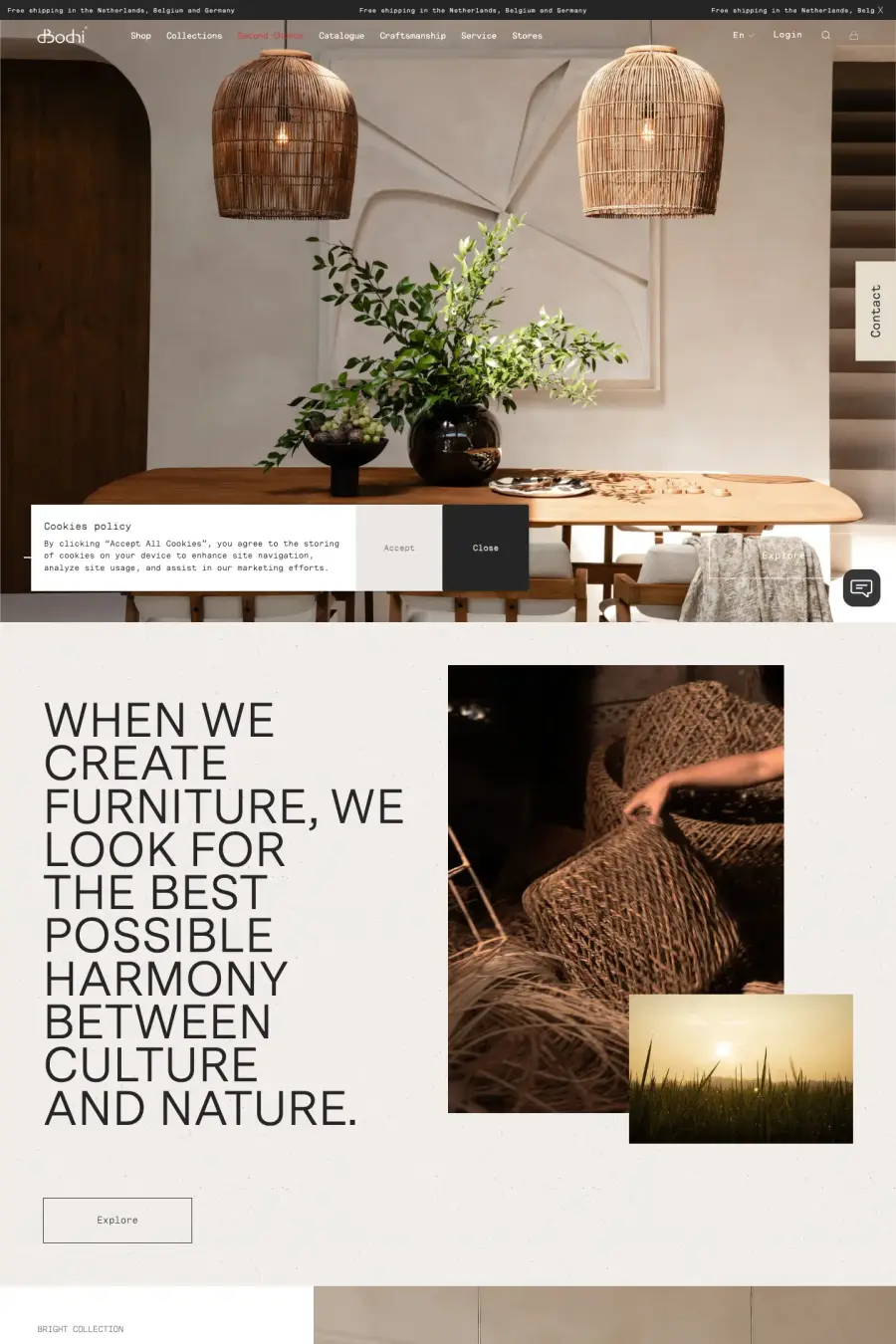 dBodhi preview